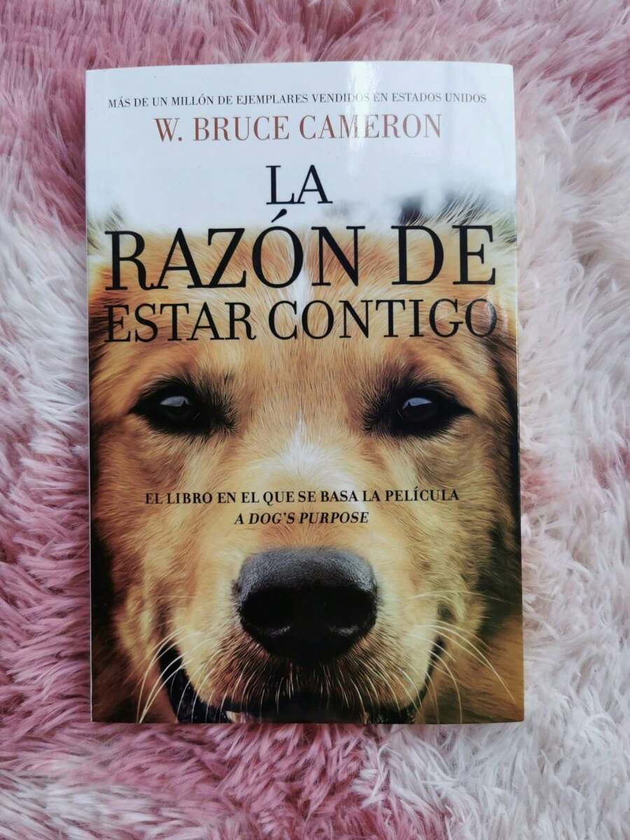 Libro la razón de estar contigo - Libro único - Ver 1