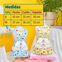 Traje con arnés para perros pequeños - Talla pequeña - Blanco - Ver 1