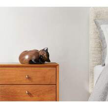 Sleeping Resin Cremation Cat Urn, Cat Urns For Ashes, Small Animal Urn (White)… - Black Walnut - View 2