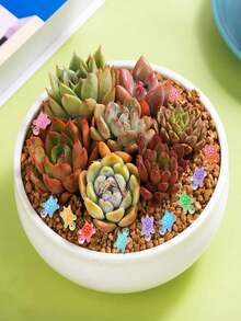 100 Mini Turtles, Glowing Mini Turtles Made Of Resin In Multiple Colors, Small Glowing Sea Animal Crafts, House, Joke, Garden Landscape Decoration, Sea Turtles, Resin Animals, Mini - Multicolor - View 6