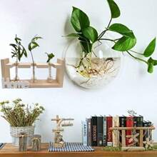 5pcs/10pcs Set Spherical Glass Terrarium - Thick Transparent Glass Ball Planters For Home & Office Decor, Multi-Color