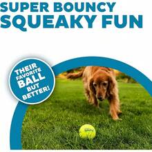 Outward Hound Squeaker Ballz Fetch Dog Toy, Medium - 4 Pack