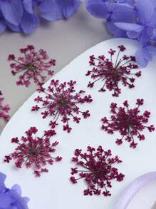 10 fleurs/boîte Remplisseurs de fleurs séchées - Fournitures de moule en résine époxy colorée pour la fabrication de bijoux DIY, les projets de décoration artisanale, les fournitures d'artisanat | Décoration thème été