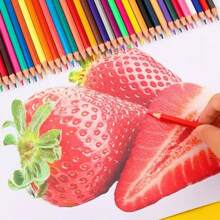 12/24/48 Colors Erasable Colored Pencils, 36 Colors Pencils For Elementary School Students, Drawing & Painting Pens For Kindergarten, Doodle,Back To School