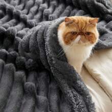 Plush Throw Blanket – Soft And Cozy, Elegant Tonal Binding, Perfect For Sofa Or Bedroom Decor, Easy Care, Ideal Gift,Fuzzy Flannel Blanket For Bed, Sofa, Couch, Travel, Camping Fleece Throw Blanket - Plush Fuzzy Flannel Blanket, Super Soft Warm Blan