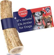 Devil Dog Pet Co. Elk Antlers Dogs, Medium 5+, 1 Pack, Grade A Long Lasting Chew Aggressive Chewers, Premium USA Naturally Shed Antler – Healthy, No Odor, Durable Dog Chew - 整隻 - 怪物 - 1 包 - 查看 2