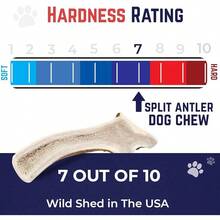 Devil Dog Pet Co. Elk Antlers Dogs, Medium 5+, 1 Pack, Grade A Long Lasting Chew Aggressive Chewers, Premium USA Naturally Shed Antler – Healthy, No Odor, Durable Dog Chew - Split - Medium - 2 Pack - View 2