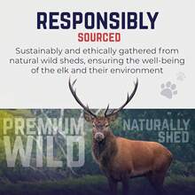 Devil Dog Pet Co. Elk Antlers Dogs, Medium 5+, 1 Pack, Grade A Long Lasting Chew Aggressive Chewers, Premium USA Naturally Shed Antler – Healthy, No Odor, Durable Dog Chew - Split - Medium - 2 Pack - View 6