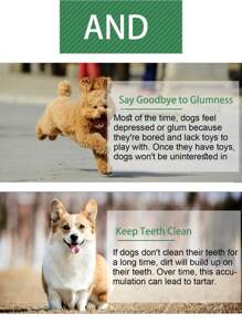 Juguetes para morder para perros - Pelotas y palos para morder - Para Labrador, Golden Retriever, Corgi - Entrenamiento y limpieza dental