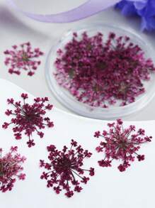 10 fleurs/boîte Remplisseurs de fleurs séchées - Fournitures de moule en résine époxy colorée pour la fabrication de bijoux DIY, les projets de décoration artisanale, les fournitures d'artisanat | Décoration thème été