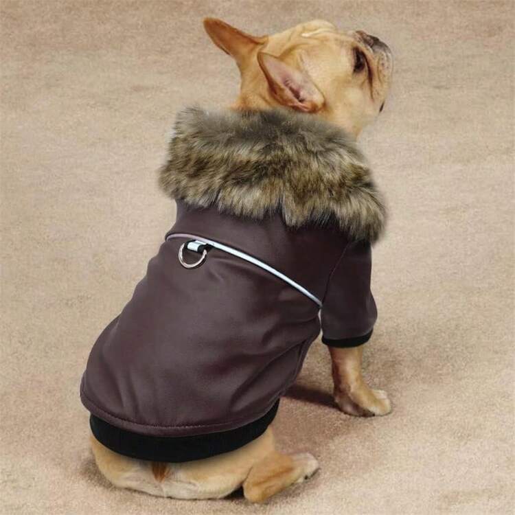 Pet Clothing Set - A - 查看 5