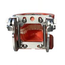 1pc Flesh-Colored Removable Full Mouth 32 Teeth Model For Dental Practice And Oral Teaching - Flesh Color - View 7