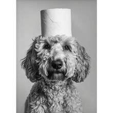 1 件动物高地牛水獭猫浣熊配厕纸海报印刷帆布画浴室墙壁艺术搞笑厕所幽默家居装饰可选框架 - 彩色 - 查看 76