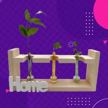 5pcs/10pcs Set Spherical Glass Terrarium - Thick Transparent Glass Ball Planters For Home & Office Decor, Multi-Color
