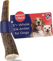 Devil Dog Pet Co. Elk Antlers Dogs, Medium 5+, 1 Pack, Grade A Long Lasting Chew Aggressive Chewers, Premium USA Naturally Shed Antler – Healthy, No Odor, Durable Dog Chew - 整盒 - 中 - 1 包 - 查看 11