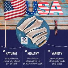 Devil Dog Pet Co. Elk Antlers Dogs, Medium 5+, 1 Pack, Grade A Long Lasting Chew Aggressive Chewers, Premium USA Naturally Shed Antler – Healthy, No Odor, Durable Dog Chew - Split - Medium - 2 Pack - View 8