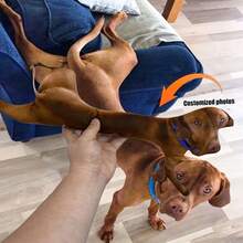 Specially Made Pet Photo Pillow - Customized Pet Pillow - Valentine's Day, Christmas Or Any Occasion Gift - Can Be Customized Double-Sided - Multicolor - View 1