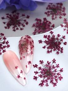 10 fleurs/boîte Remplisseurs de fleurs séchées - Fournitures de moule en résine époxy colorée pour la fabrication de bijoux DIY, les projets de décoration artisanale, les fournitures d'artisanat | Décoration thème été