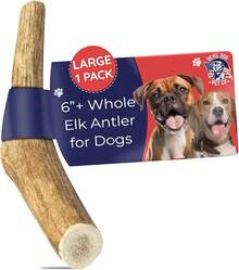Devil Dog Pet Co. Elk Antlers Dogs, Medium 5+, 1 Pack, Grade A Long Lasting Chew Aggressive Chewers, Premium USA Naturally Shed Antler – Healthy, No Odor, Durable Dog Chew - 整盒 - 大號 - 1 包 - 查看 4