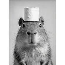 1 件动物高地牛水獭猫浣熊配厕纸海报印刷帆布画浴室墙壁艺术搞笑厕所幽默家居装饰可选框架 - 彩色 - 查看 36