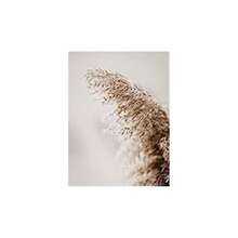 1/3pcs Wall Art Posters/Modern Style Seashore Reed, Feather Grass, Beach Ocean Scenery Landscape Art Prints, Decor For Home, Bedroom, Study, Kids Room, Clothing Store, With/Without Frame ,Wall Art With Frame - Multicolor - View 15