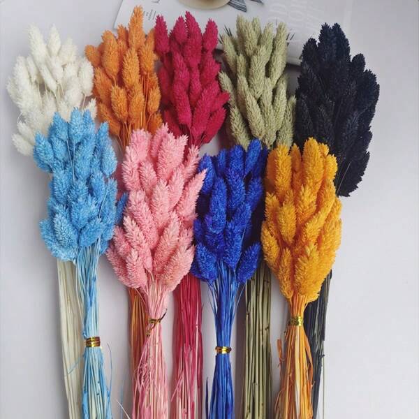 50pcs Natural Dried Flowers & Pampas Grass Bouquet For Home Decoration, Wedding Decor, Table Centerpiece, White,Fall Decor,Autumn