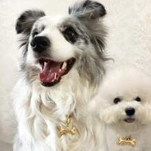 1pc Personalized Dog Bone Shaped Zinc Alloy Pet ID Tag, Silver/Gold Color Pet Collar Decor, Cute Pet Anti-Lost Identity Card, Customizable Pet Info, Ideal Gift For Pet Lovers