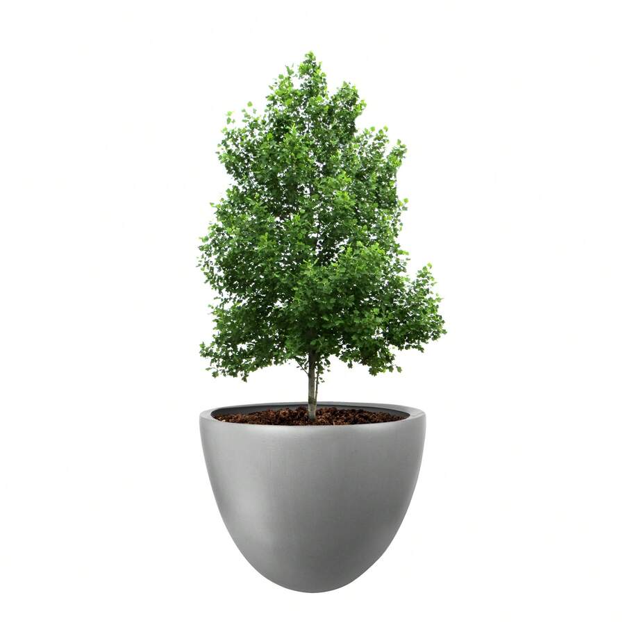 Flower Pots & Planters
