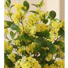 1 pieza de 30,71 pulgadas de rama de osmanto artificial, rama de osmanto amarilla falsa, tallo alto de seda, apropiada para decoración del hogar, sala de estar y mesa de comedor, bricolaje para boda, ramas de osmanto del patio, Día de San Valentín, como regalo, regalo de cumpleaños, regalo de graduación.