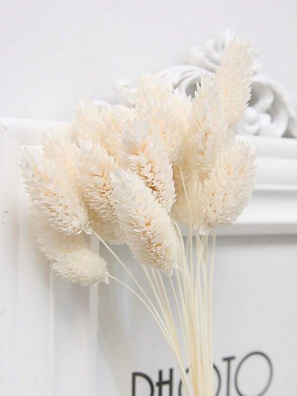 25/50/100 Pcs Gem Flower/Preserved Flower, Multi-Color Options, For Home Decor, Vase Decor, DIY Bouquet, Cake Decoration