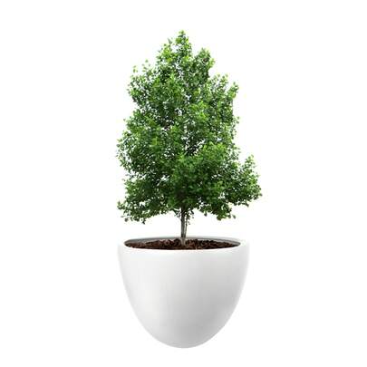 Macetas Decorativas para Interior y Exterior |  1 Macetas Grandes de Plástico con Capacidad para 45 Litros | Modelo Bis 1 Piezas.