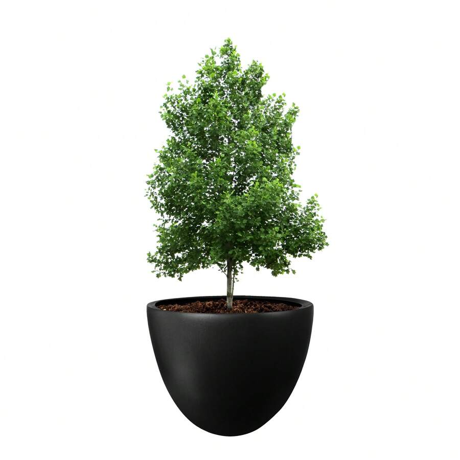 Flower Pots & Planters