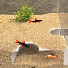Double Hole Fish Tank Tunnel Shelter, Aquatic Animal Plastic Habitat + Fish Tank Decor Hide Cave, ABS Plastic Material, Fish Playing And Resting Room Observation Window, Pet Supplies For Fish Tank Decoration