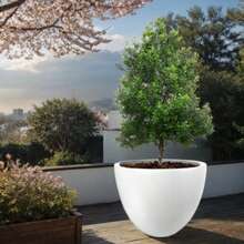 Macetas Decorativas para Interior y Exterior |  1 Macetas Grandes de Plástico con Capacidad para 45 Litros | Modelo Bis 1 Piezas. - Blanco - Ver 4