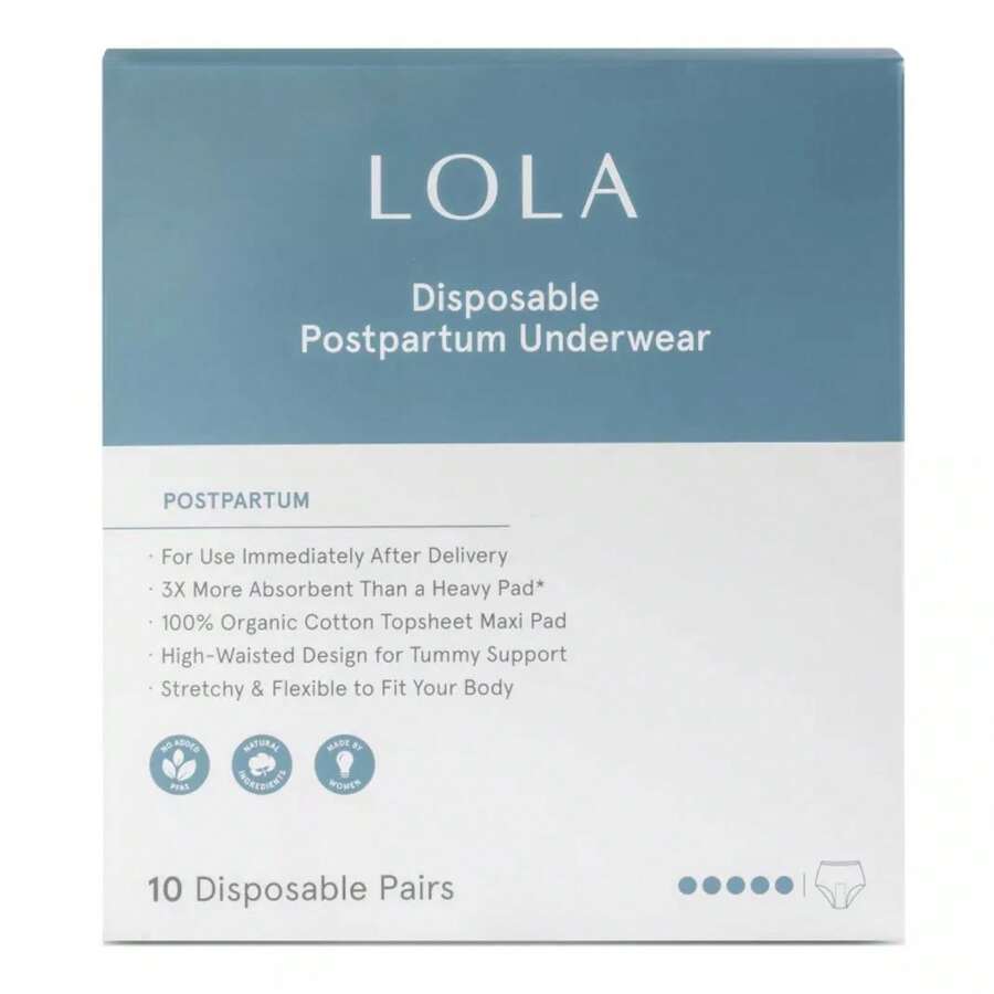 LOLA Postpartum Underwear With Organic Cotton Maxi Pad - 10ct - 1 - View 1