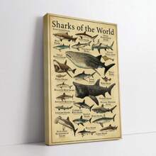 Shark Species Wall Art Poster 1PC - Vintage Ocean Canvas Posters For Home & Office Decor, Optional Frame Educational Marine Life Illustration, Ideal For Bedroom Decor, Living Room Decor, Classroom Decor- Perfect Gift For Sea Life Enthusiasts , Wall Art With Frame