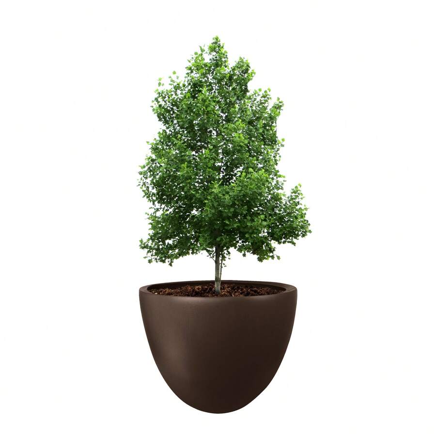 Flower Pots & Planters