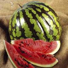 50pcs Watermelon Deep Red Sweet Green Planting Seeds - Non GMO High Sprout Fruit Seeds - 50PCS - View 3