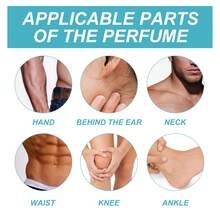 Fragrance Sets - Multicolor - Ver 3