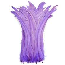 100PCS Rooster Tail Feathers, 25-35cm /10-14inch Carnival Party Performances Stage Costume Decoration DIY Headwear Feathers Wedding Decoration Headwear Feathers