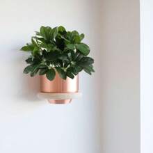GTIDEA Artificial Shrubs Plants Fake Silk Schefflera Bushes Real Touch Faux Greenery Leaf Arrangements Indoor Outdoor Garden Office Home Table Centerpieces Wall Hanging