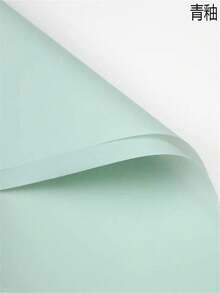 1 包/20 张花卉包装纸，纯色，哑光，半透明，防水，韩式，适用于花店、插花、节日、婚礼、礼品包装