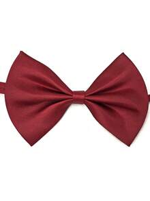 1 件/5 件/10 件可调节纯色领结，适合男孩儿童，可调节单层领结，适合青少年，领结装饰，男孩女孩花童礼服，英伦风格婴幼儿领结，适合婚礼、生日、表演 - 彩色 - 查看 10