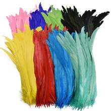 100PCS Rooster Tail Feathers, 25-35cm /10-14inch Carnival Party Performances Stage Costume Decoration DIY Headwear Feathers Wedding Decoration Headwear Feathers