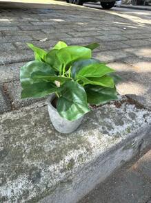 Planta artificial en maceta con hojas de menta, flor de lirio, planta falsa para decoración del hogar, mini maceta de piedra para paisajismo, regalo para el Día de San Valentín
