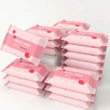 10pcs/Pack Reusable Adult Wet Wipes, Convenient Travel Size Wet Tissues, Economical Household Wet Wipes