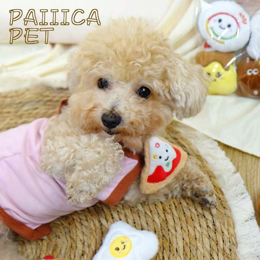 Pet Plush Doll Set: Sushi & Cookie Shaped Soft Toys With Sound Function, Interactive Toys For Small Dogs - Multicolor - View 1