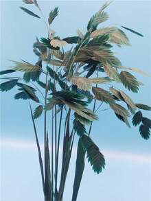 1 Bouquet Of 7 Small Ponytail Plants For Home Decor, Wedding Bouquet Shooting Props, Mother's Day Gift
