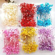 100 pezzi di fiori essiccati vivaci di Gypsophila (Fiore della Nuvola), confezione all'ingrosso - rami naturali di Gypsophila in colori assortiti, adatti come riempitivi per vasi, matrimoni, decorazioni per la casa e da tavolo | Perfetti per progetti fai-da-te, feste e regali