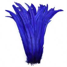 100PCS Rooster Tail Feathers, 25-35cm /10-14inch Carnival Party Performances Stage Costume Decoration DIY Headwear Feathers Wedding Decoration Headwear Feathers
